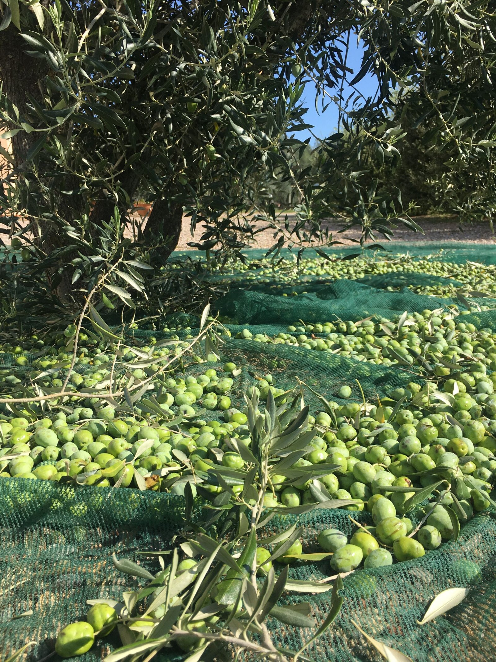 9f0277524db366d99bb001d60a0bee4e scaled