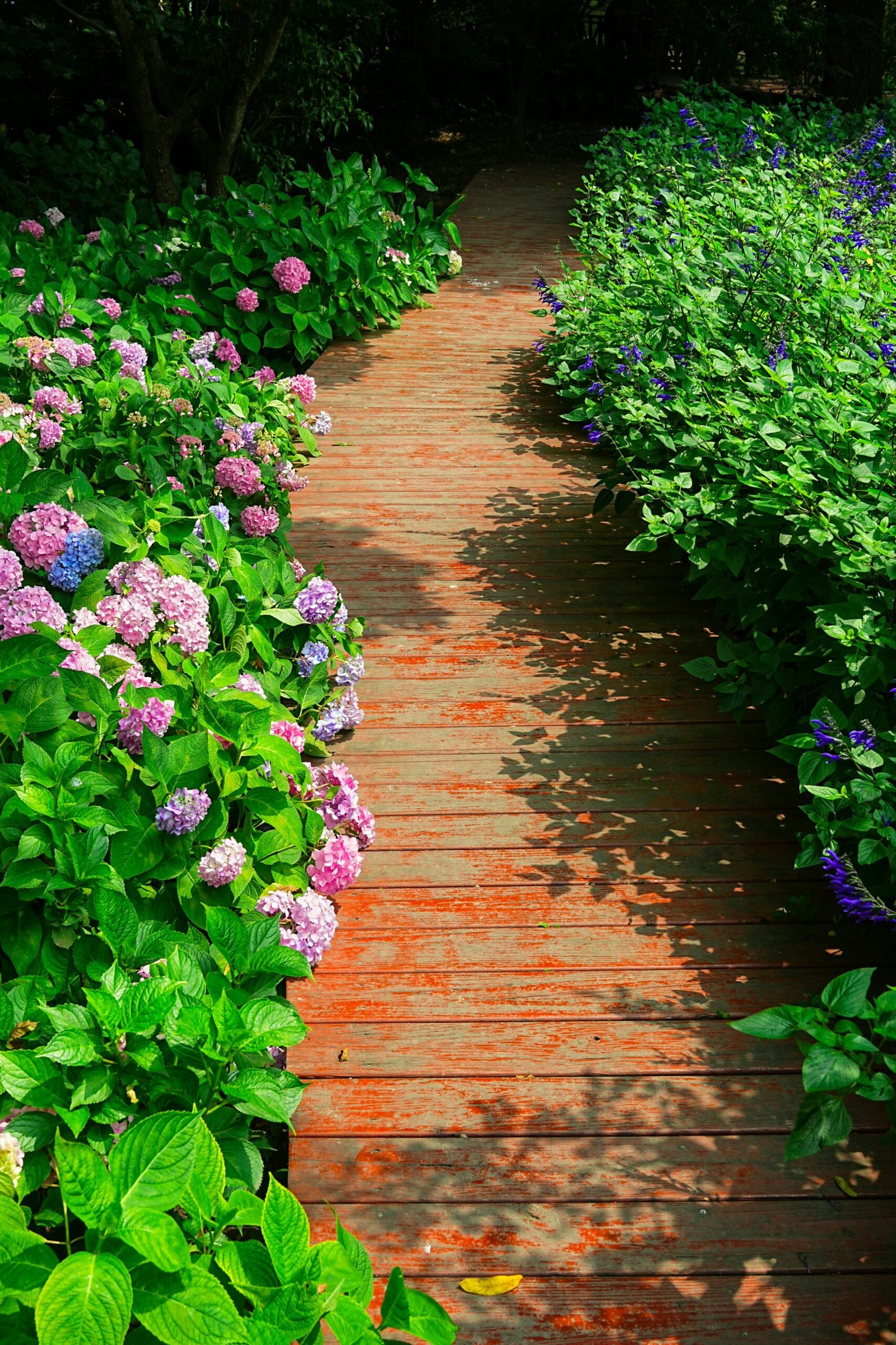 hat trick m 6vI98SdEc unsplash scaled