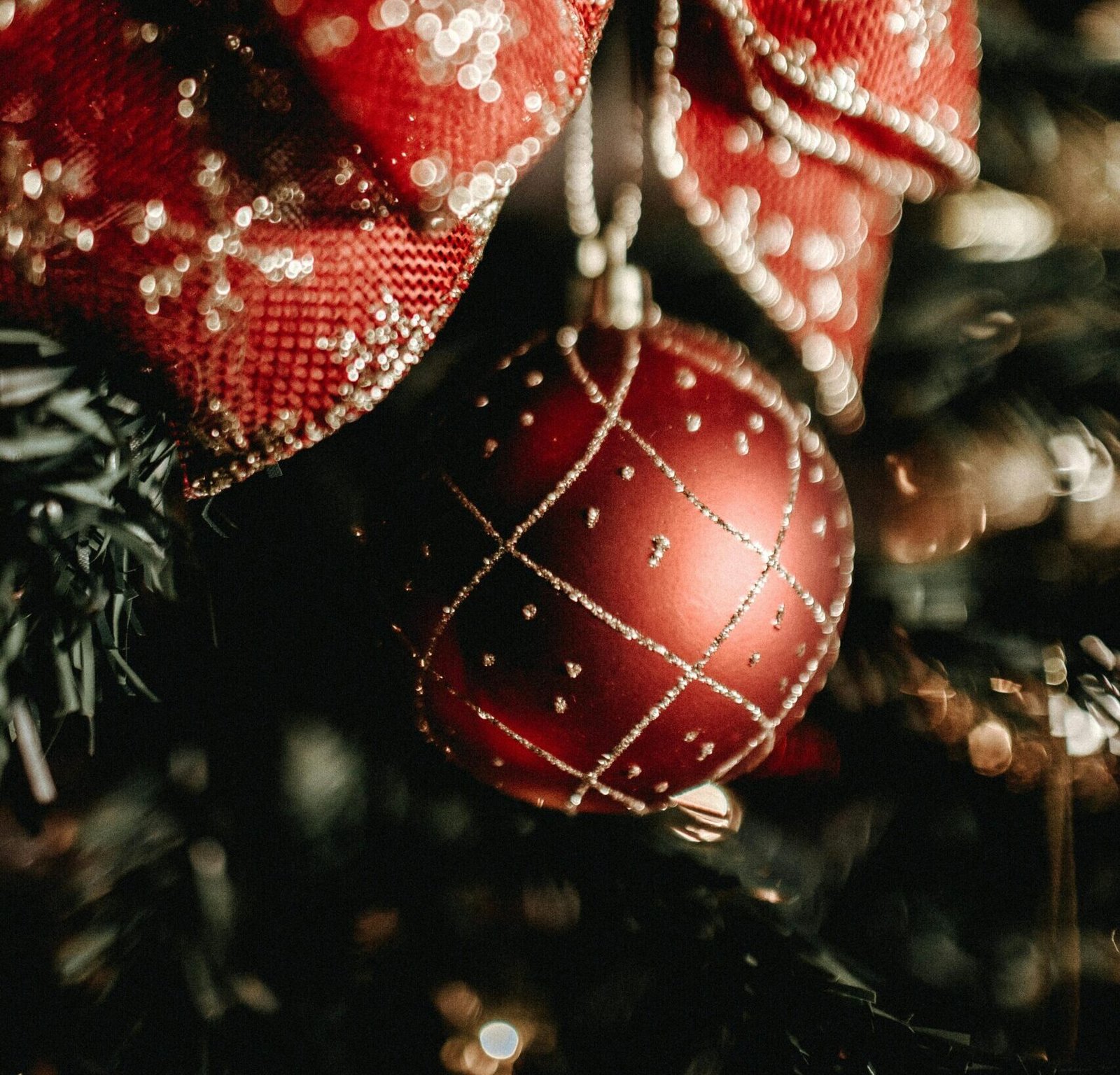 pexels jonathanborba 3303615 2 scaled e1763862832159