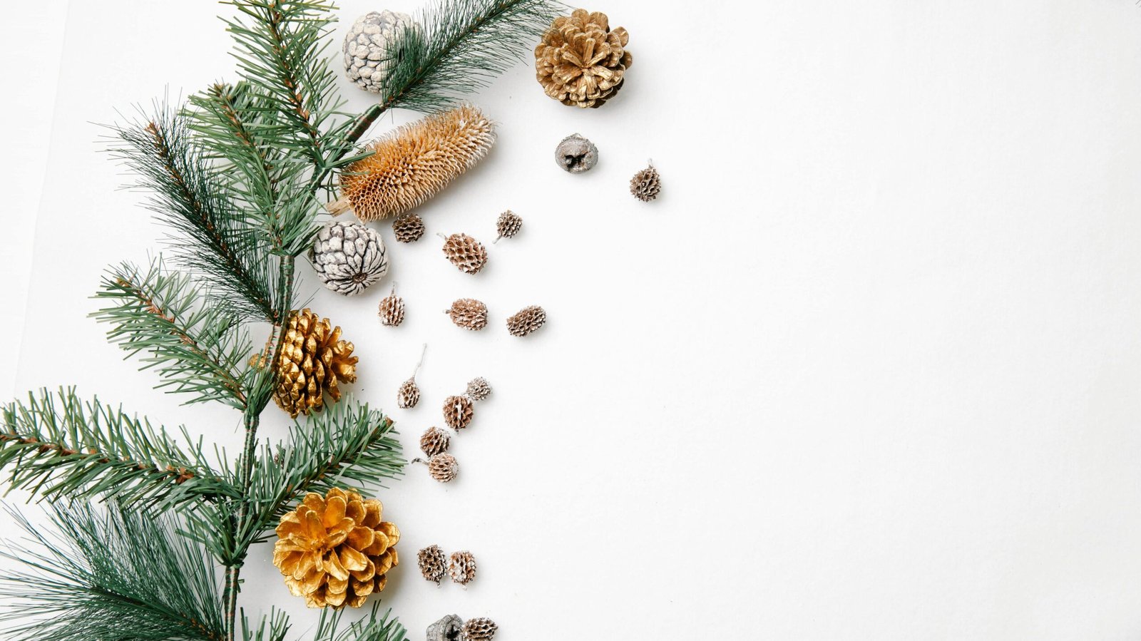 pexels laura james 6102552 edited scaled