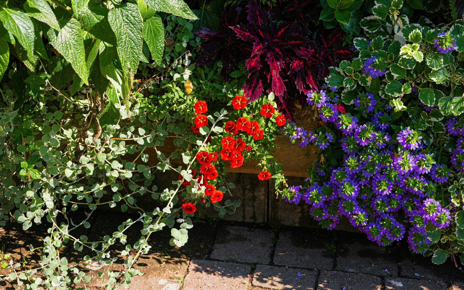 sergej karpow yascGSH5gEQ unsplash edited scaled