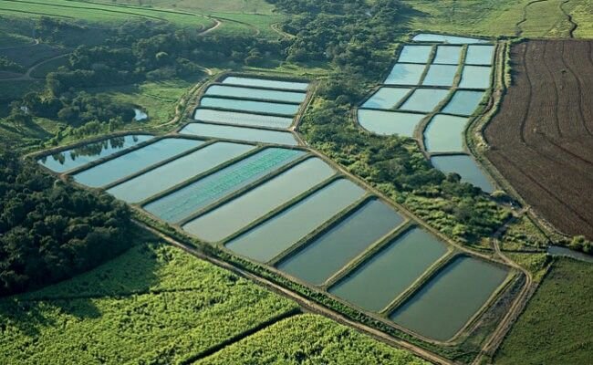 1304a4bccd75c4b2247d21c7c1d3458a