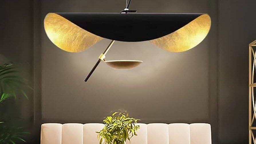 51D2Muhv6gS. AC UF8941000 QL80 edited