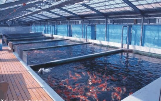 9699807d444feee86cfa6ca1bb00bc40 edited