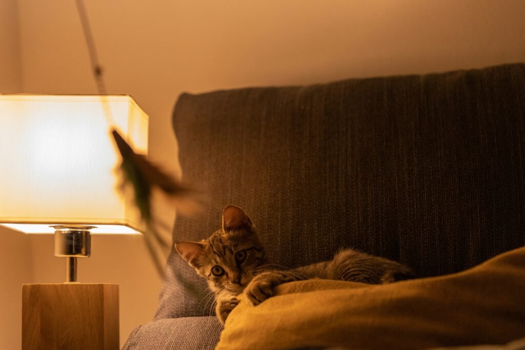 andreas schantl CGENp8qo3mI unsplash