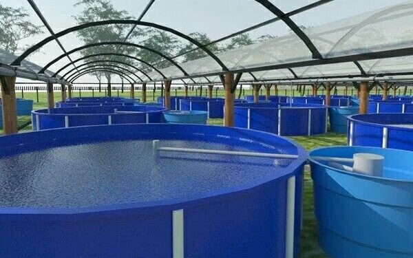 e7106b6b713514d1b89ee4307683f1c6 edited