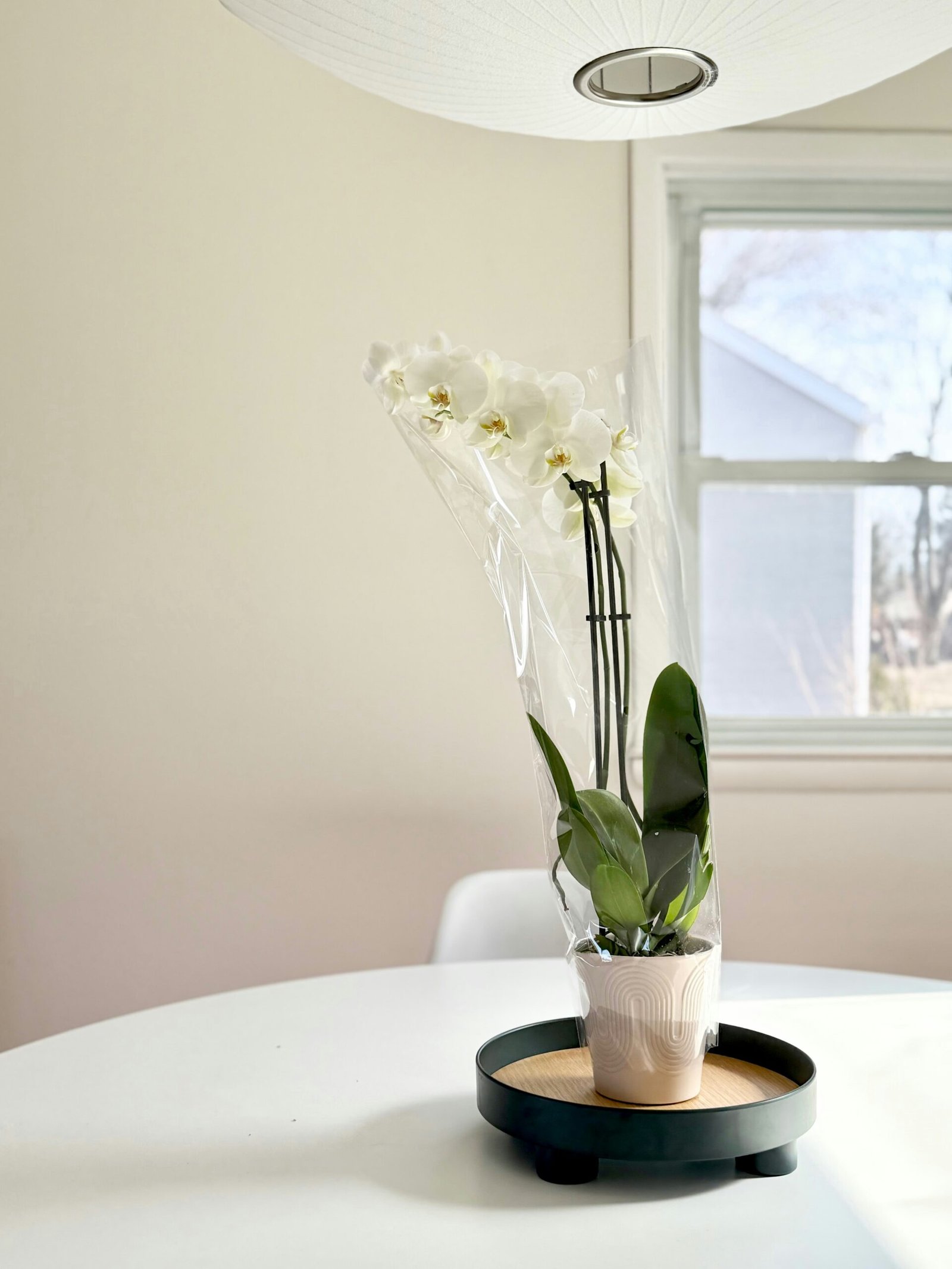 erin iposwK6V5aw unsplash scaled