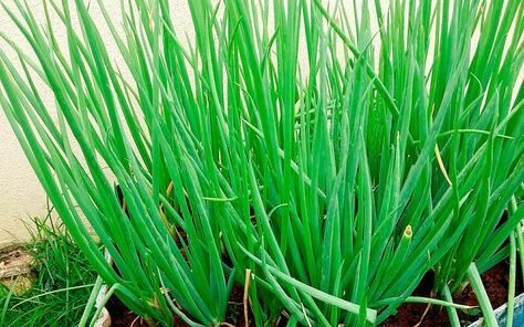 f5a127aa416dd572ea663a59b69de452 edited