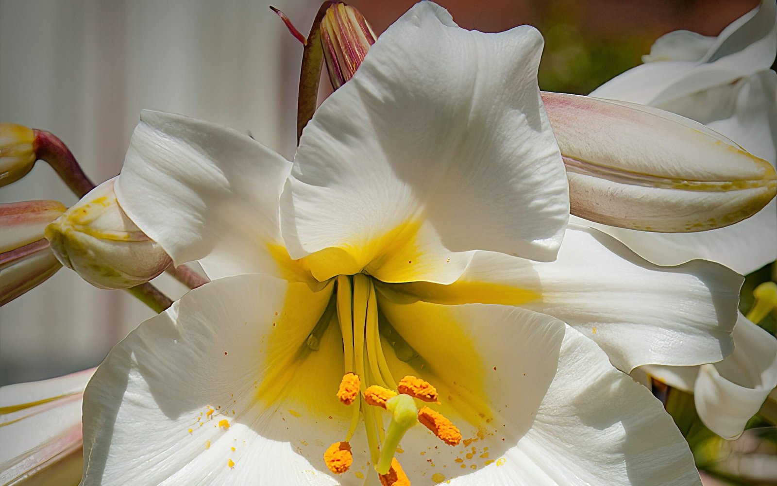 george johnson kK x078pPA unsplash edited scaled