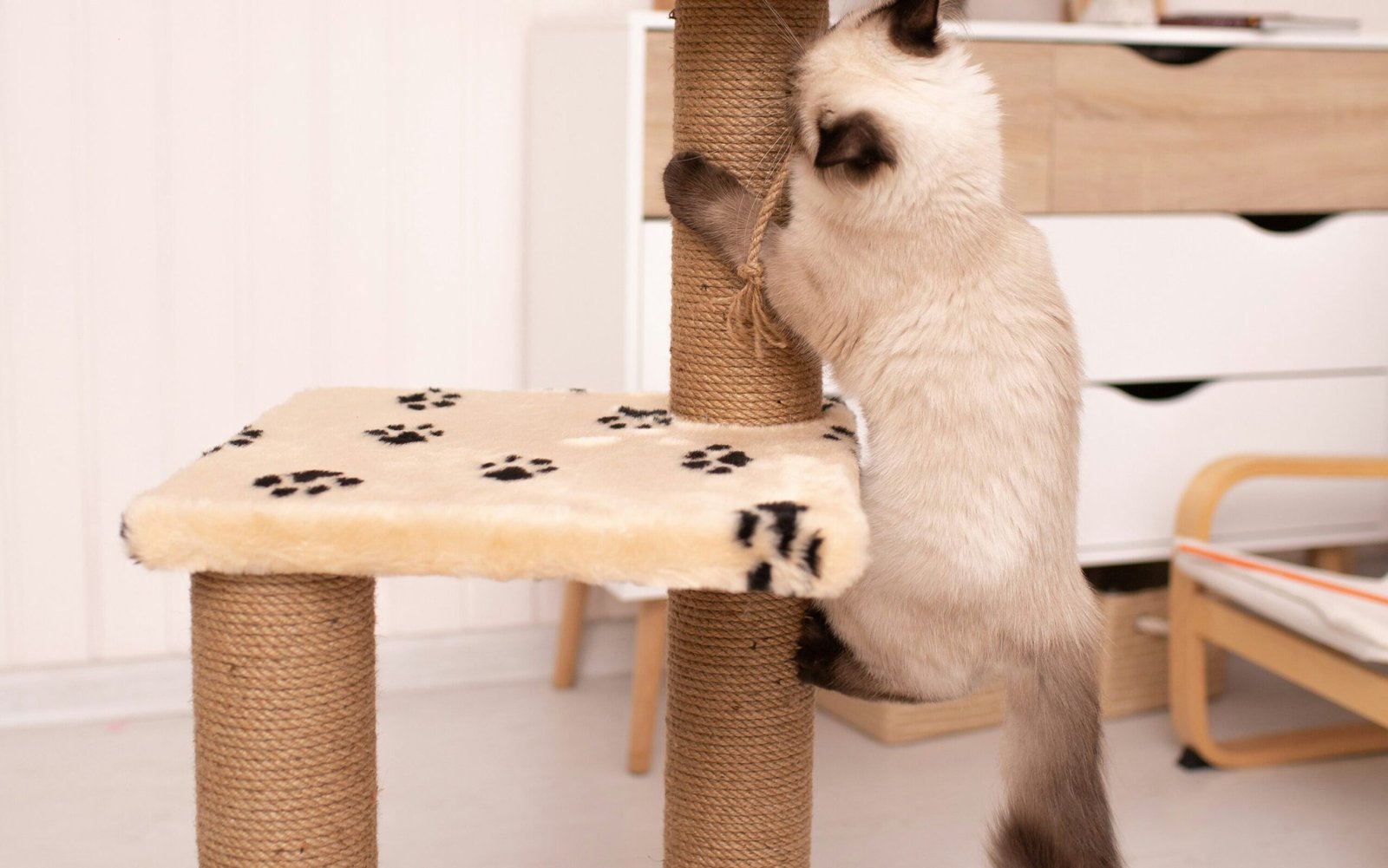 ihnatsi yfull BDwO62QcVJQ unsplash edited scaled