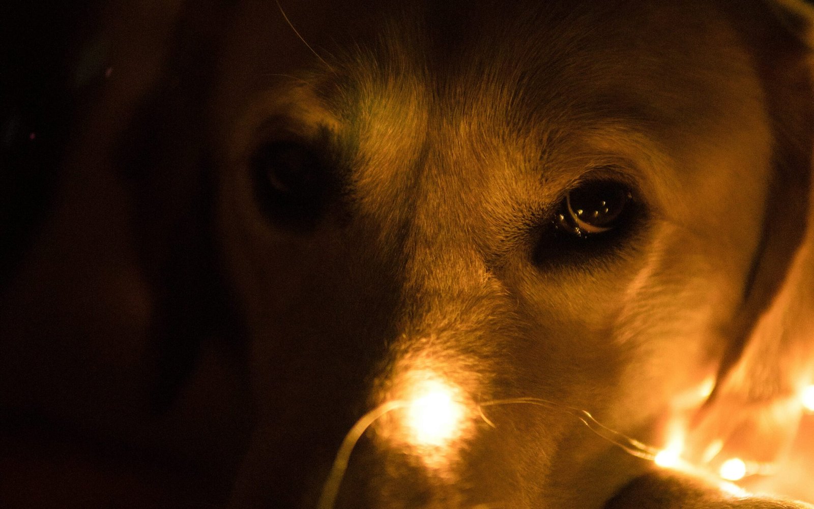 jj george lROpQzsTHbI unsplash edited scaled