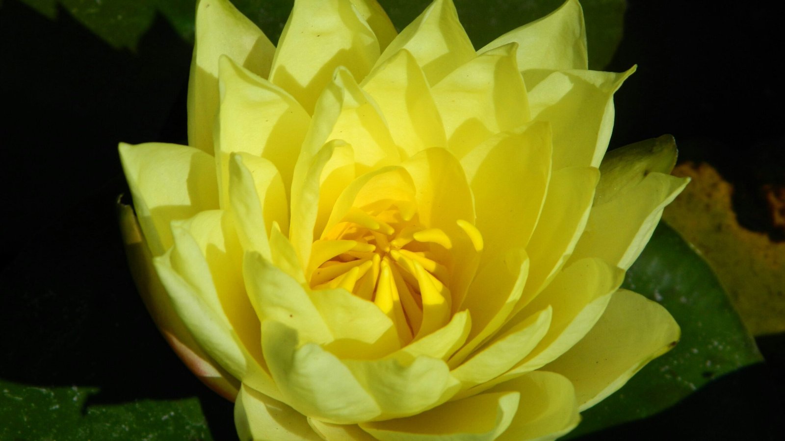 joseph albertelli TsLp9ycU99k unsplash 1 edited scaled