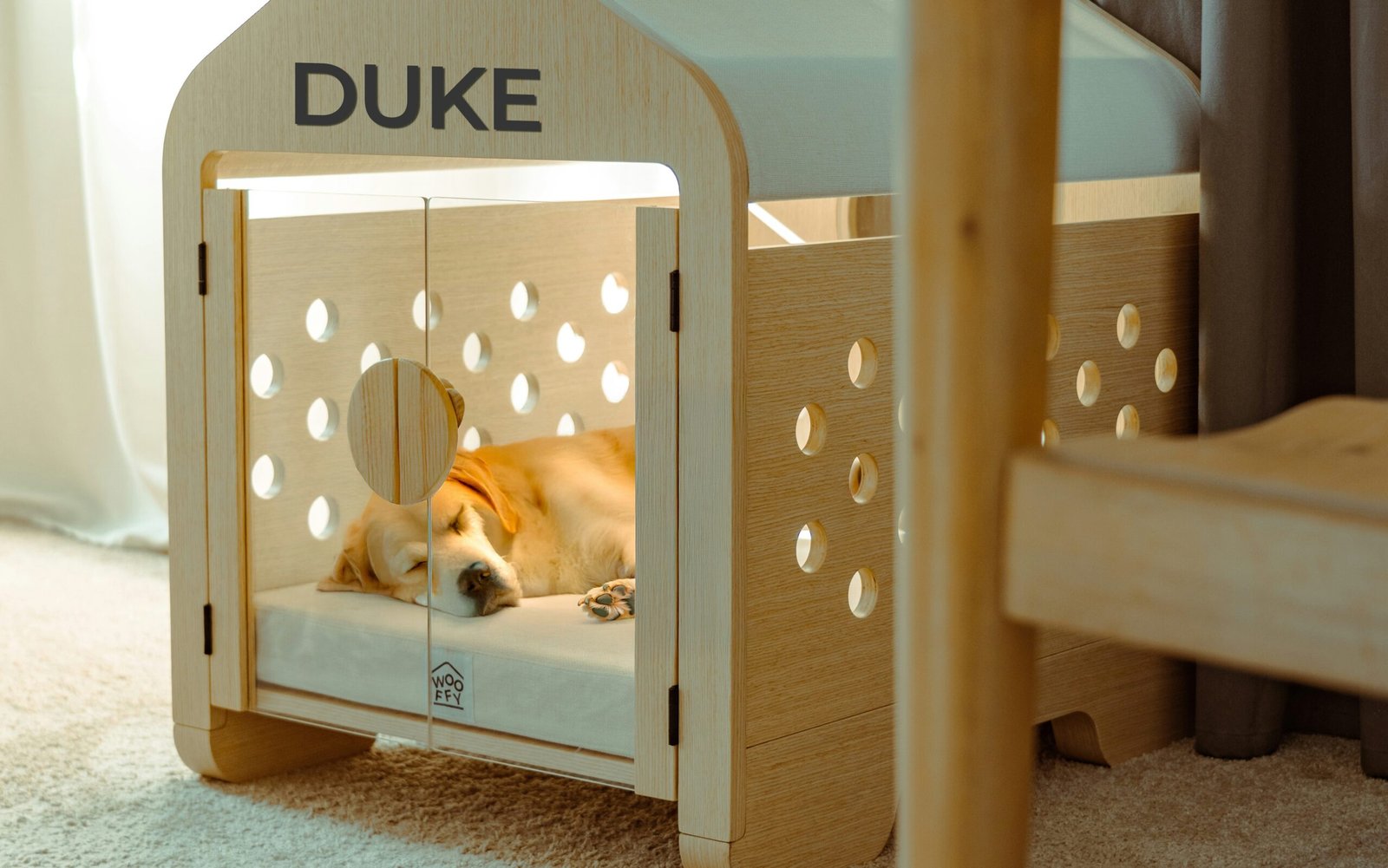 kailun zhang ilbi31dch1I unsplash edited scaled