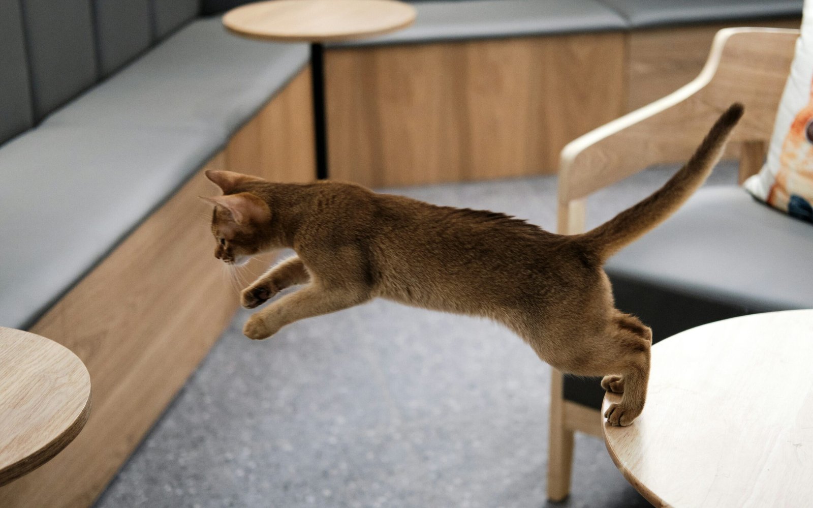 li yan 8iKHf8fMjOo unsplash edited scaled