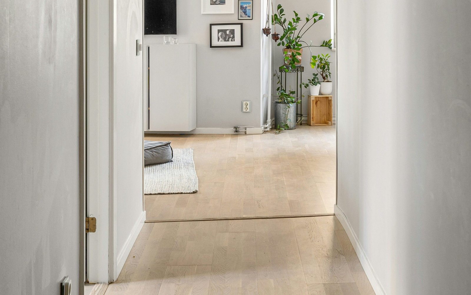 lisa anna xHG2GA05h4c unsplash edited scaled