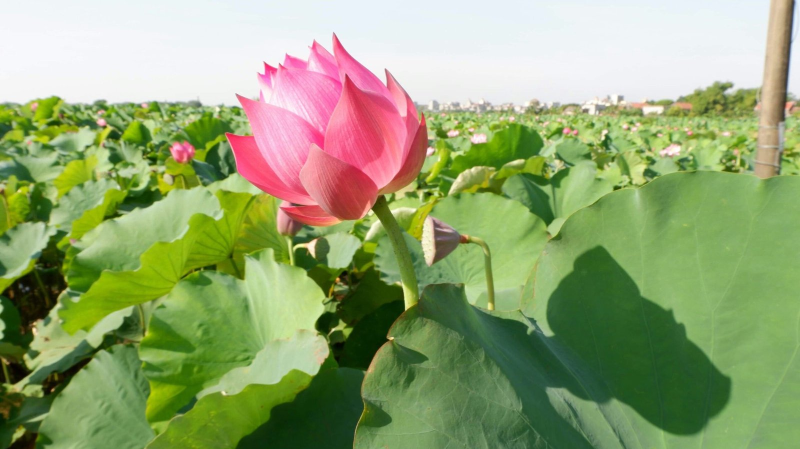 mai nguyen xWn8htEBnos unsplash edited scaled