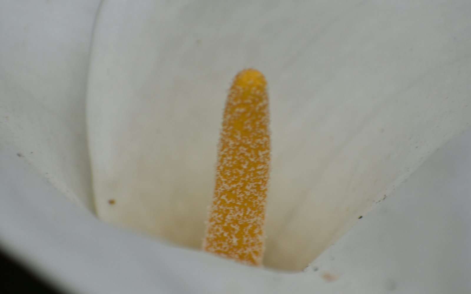 marisa barrett 4uEdVLao2Hw unsplash edited scaled