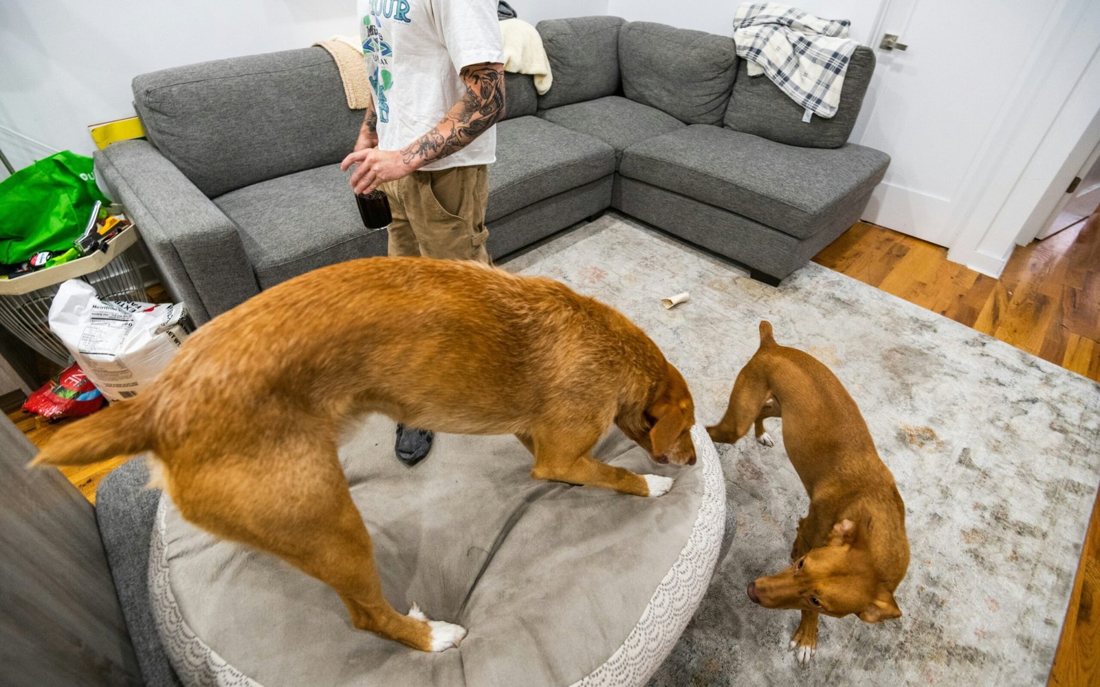 michael moloney 2KhZlRX2rjA unsplash edited scaled