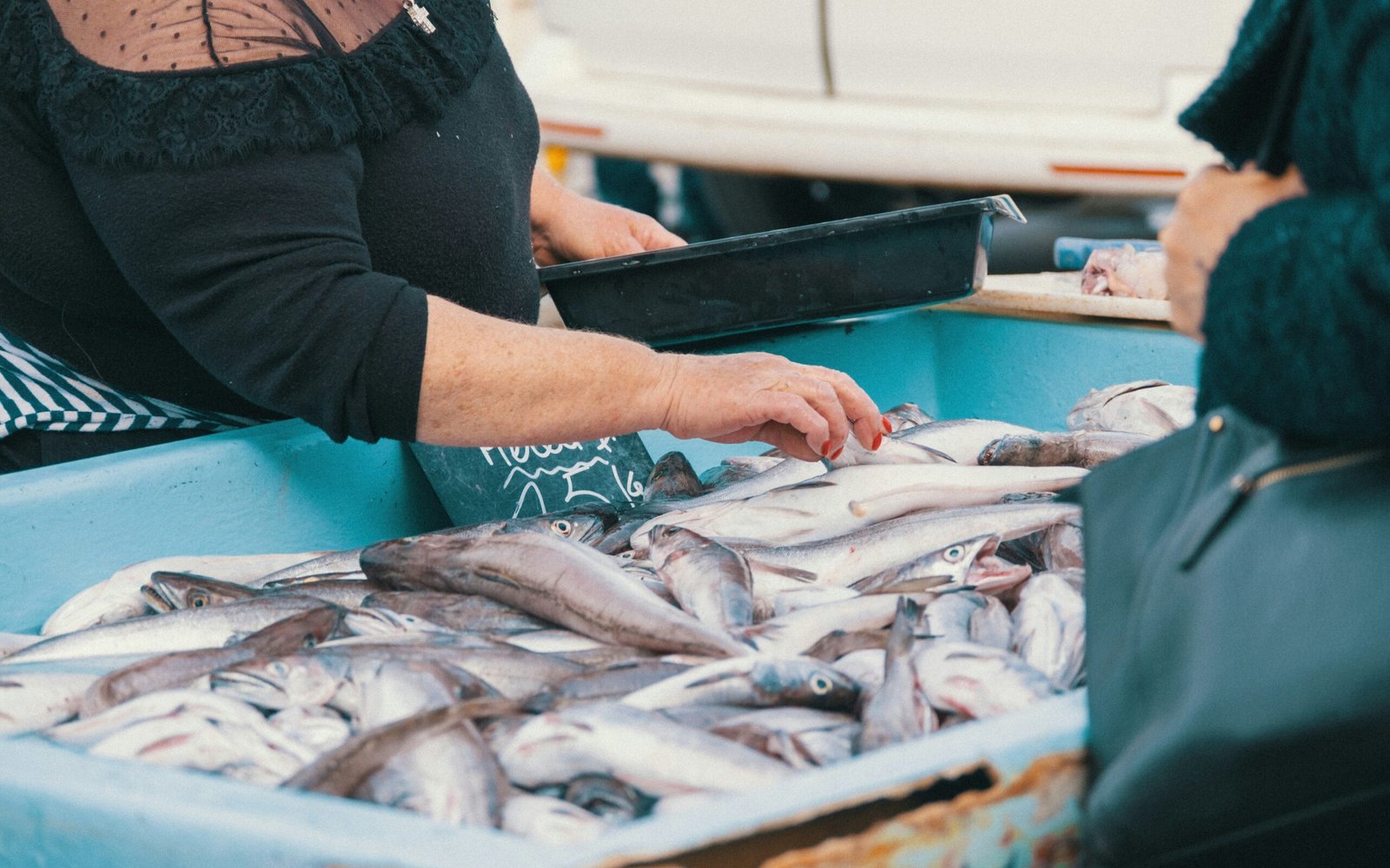 najib chari hS1jfC3jPaE unsplash edited scaled