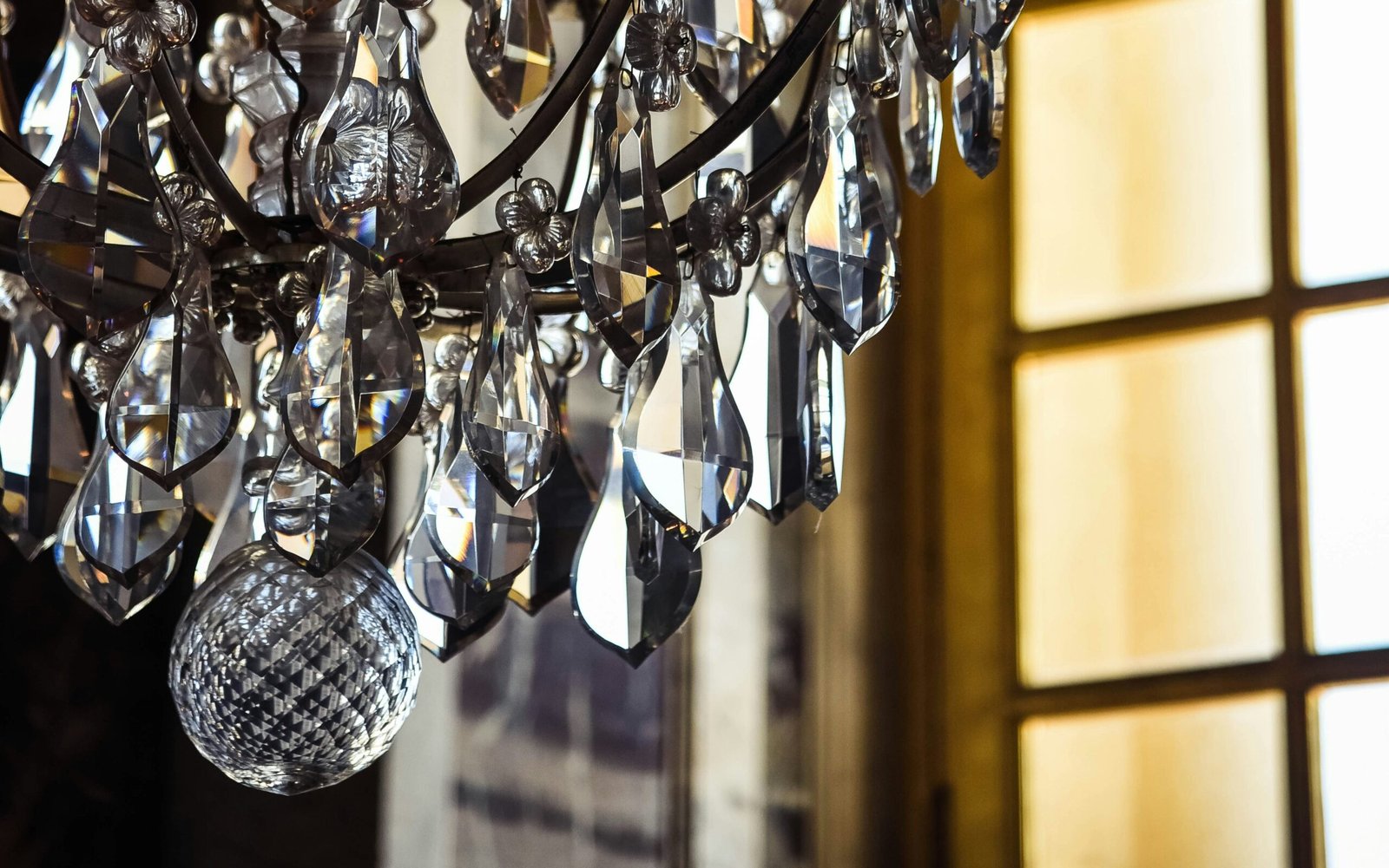 zane lee ZOjZnsFKGcA unsplash edited scaled