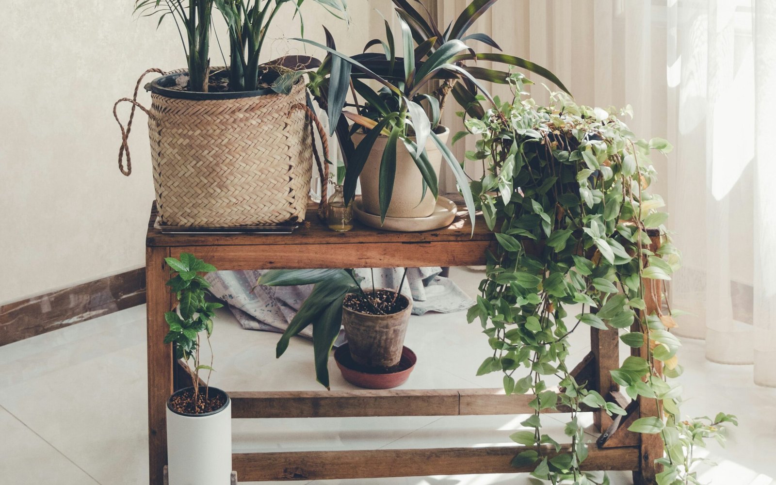 behnam norouzi sLXC oNOdbA unsplash edited scaled