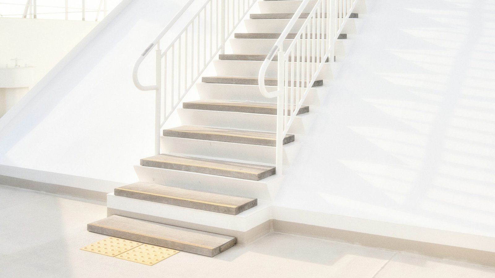 buddy an flSy0PMMUcc unsplash 1 edited scaled