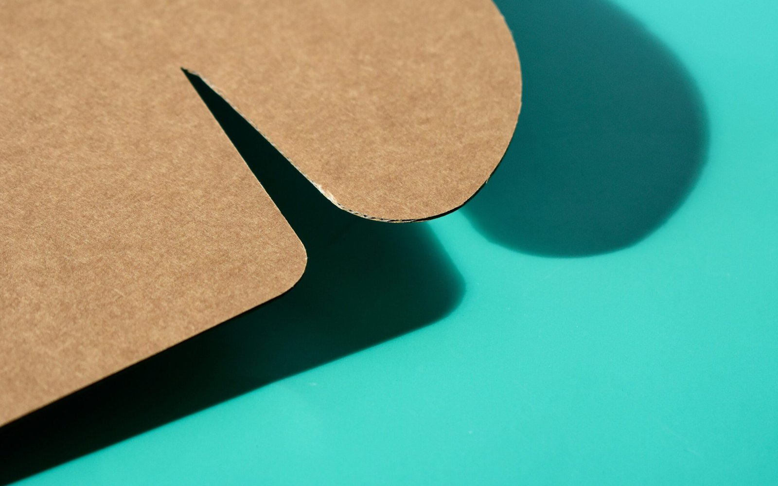 harper sunday z17t IN5GpE unsplash edited scaled