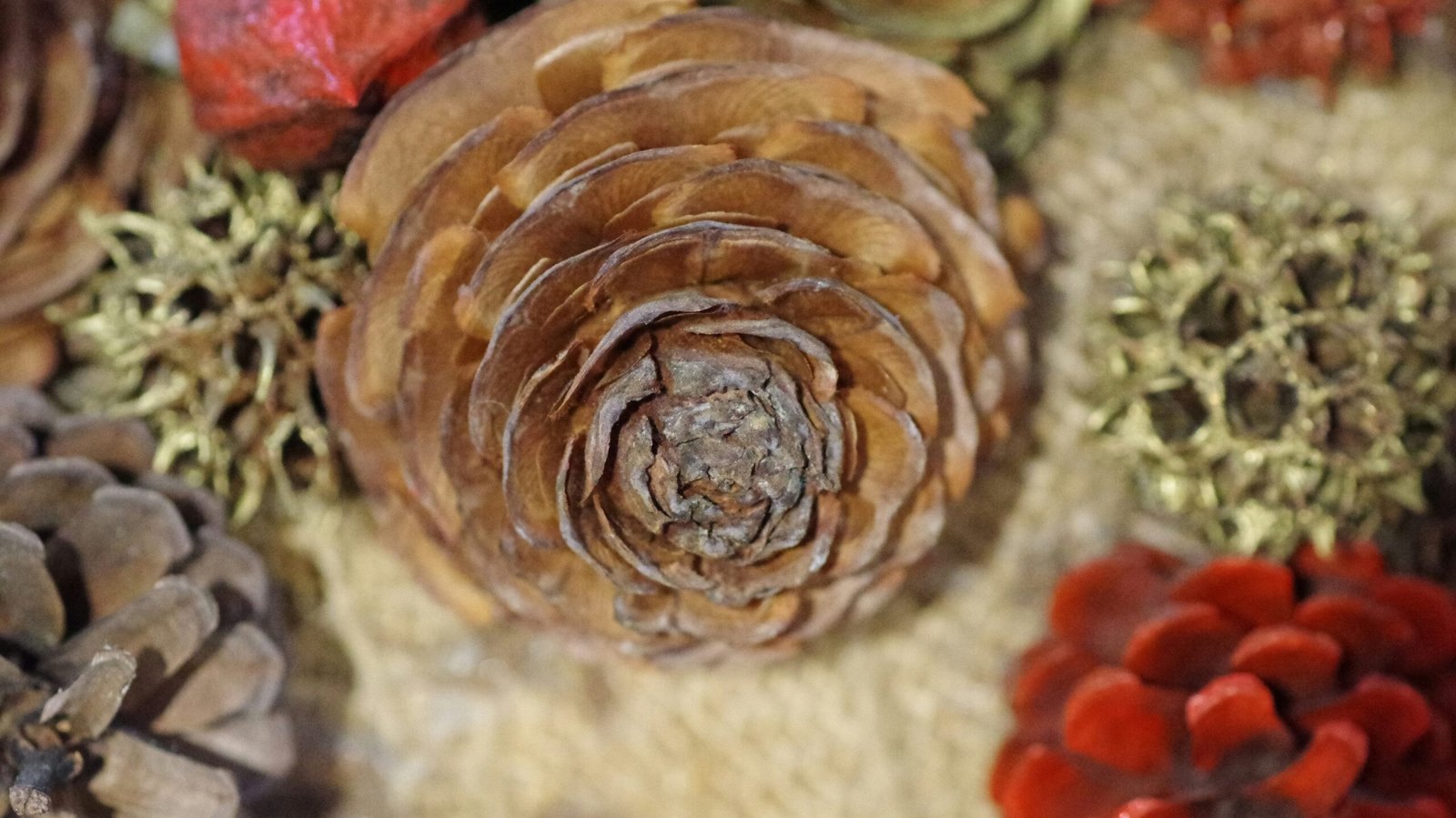 naoki suzuki hI6Edi8qvRk unsplash edited scaled