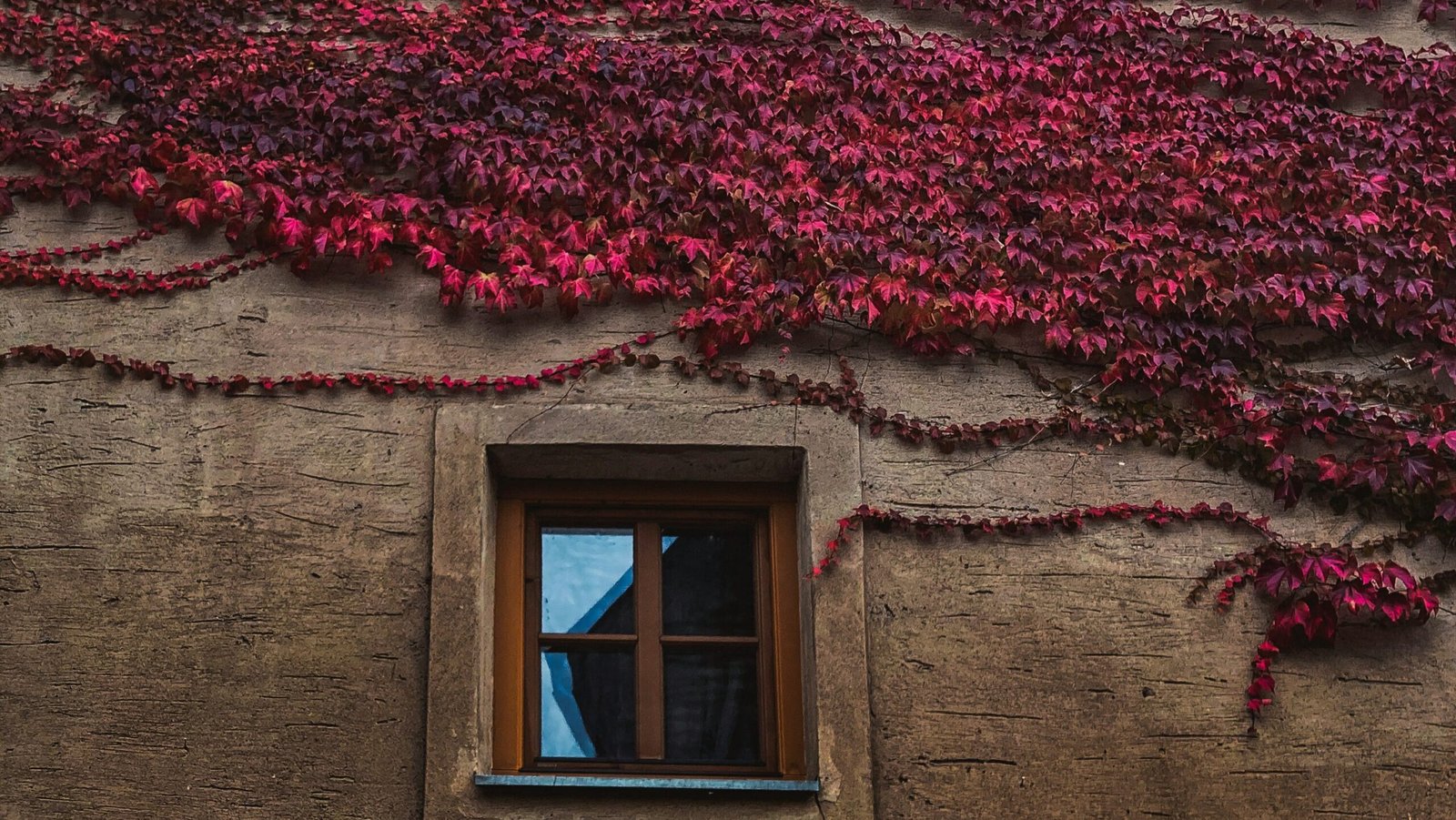 parej richard VRE6PDA8ZrU unsplash edited scaled