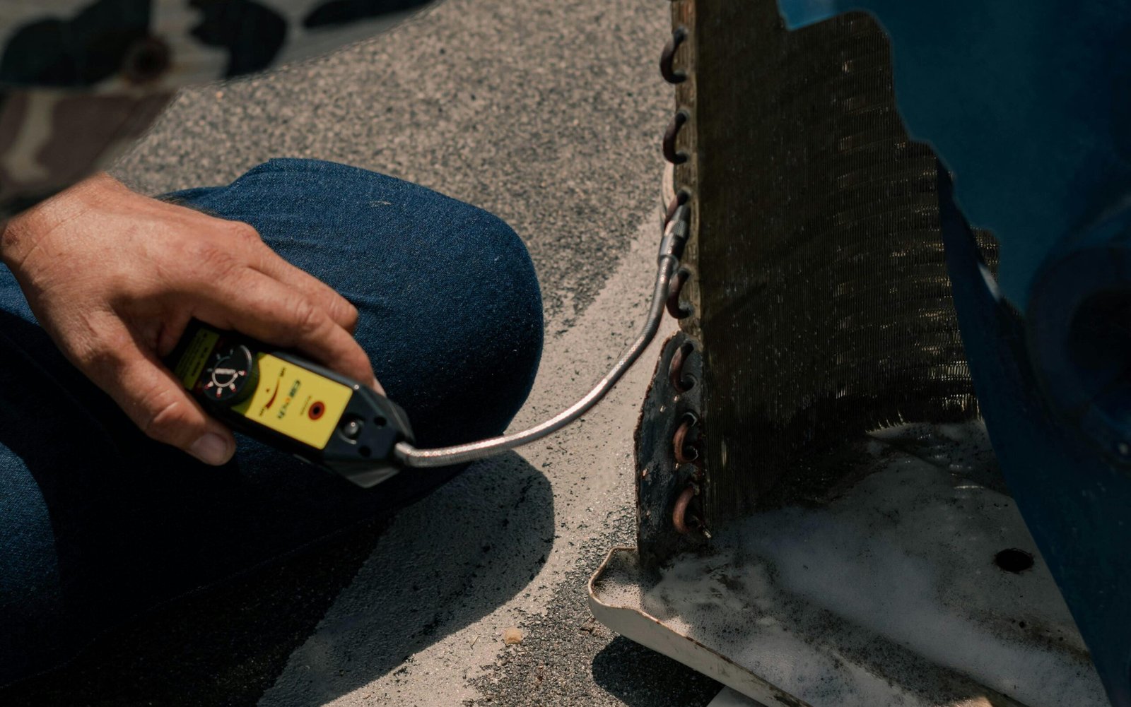 pexels jose andres pacheco cortes 3641213 5463582 edited scaled