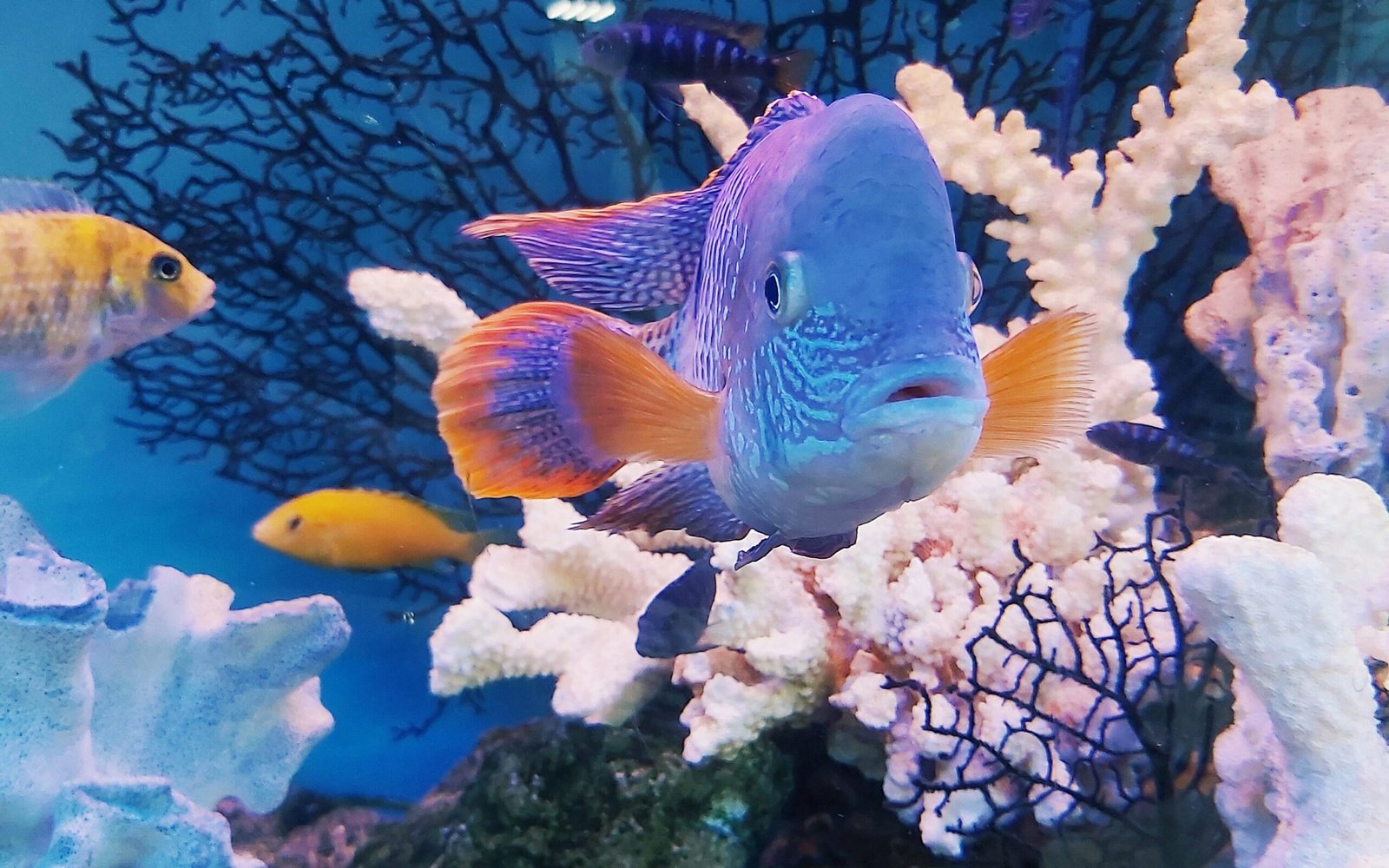 pyvovarova yevheniia8 zYB5sAxoDs4 unsplash edited scaled