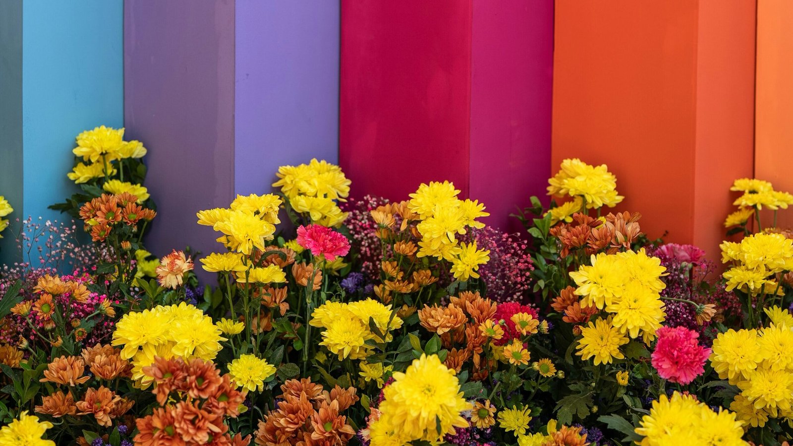 vidit goswami KfGcI8xj7pg unsplash edited scaled