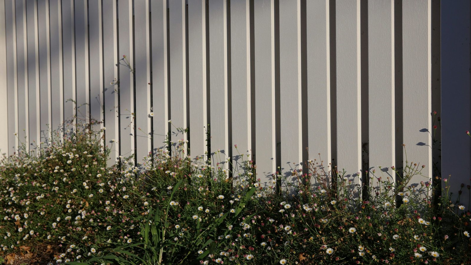 Ideias para melhorar a privacidade no seu terreno: soluções práticas, modernas e eficientes liv fletcher 0ZZpuu8NsmE unsplash edited scaled