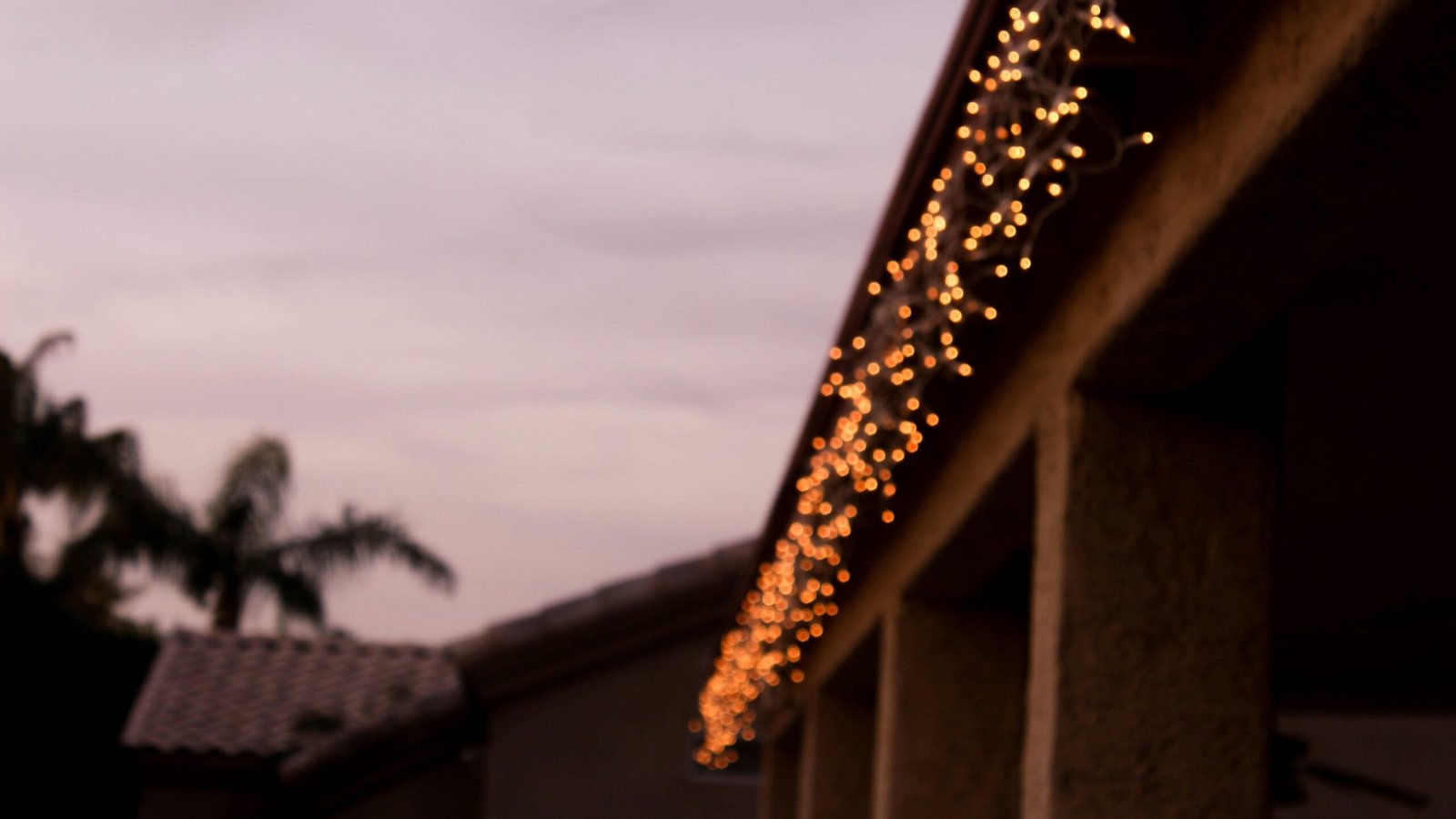 megan nixon J9 fF4v2kh8 unsplash edited scaled