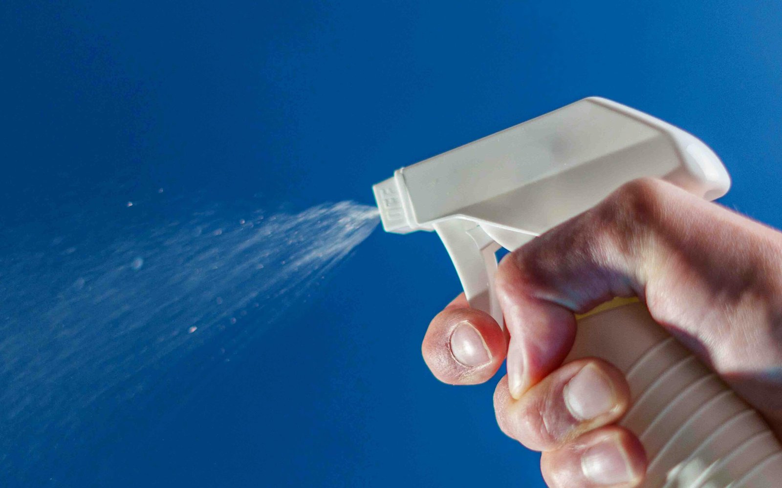 pexels impact dog crates 1789722873 28921817 edited scaled