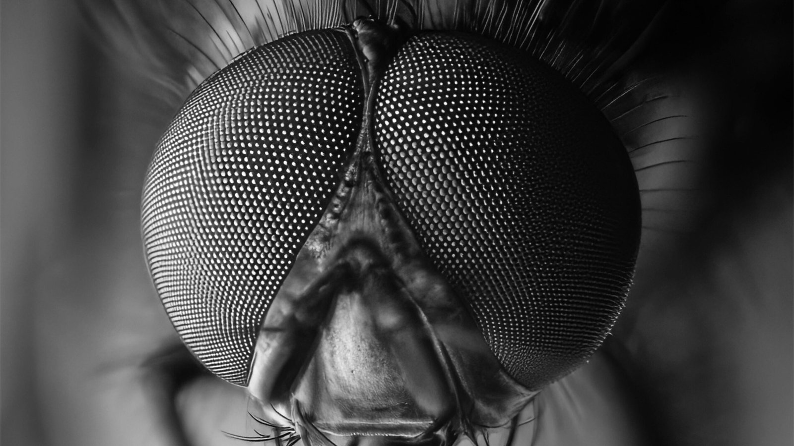 pexels jason reid 2153705284 33107036 edited scaled