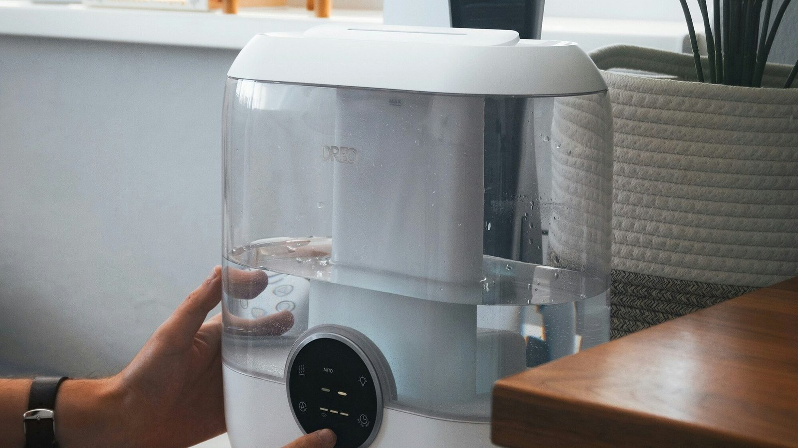 matus gocman 7oyD5Qa10lU unsplash edited